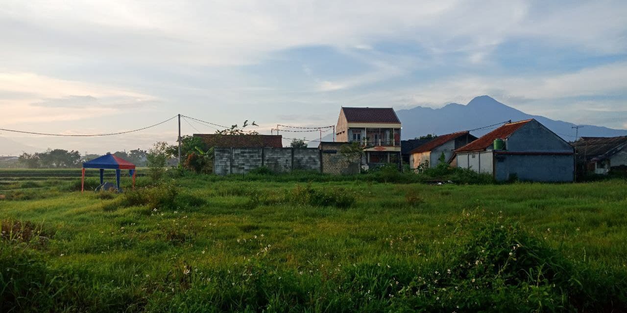 Tanah Bogor Siap Bangun Aqilla Residence Dramaga KPR Rumah