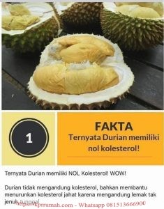 Desa Durian Investasi Tanah Produktif Bagi Masa Depan