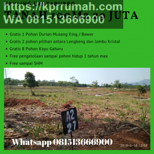 Kavling Lantaburro Tanah Murah di Bogor Untuk Kebun Durian