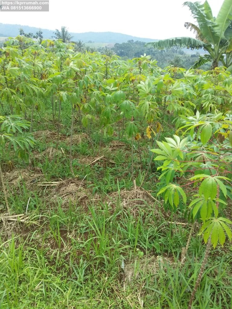 Tanah dijual di Agro Wisata Lido Bogor