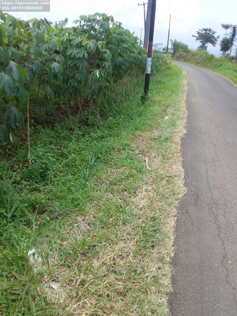 Jual Tanah di pinggir jalan Lido Bogor